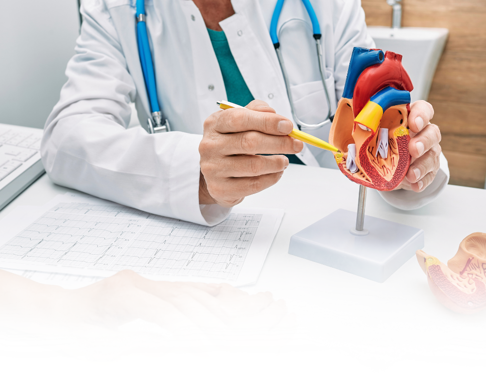 Preventive Cardiovascular Care